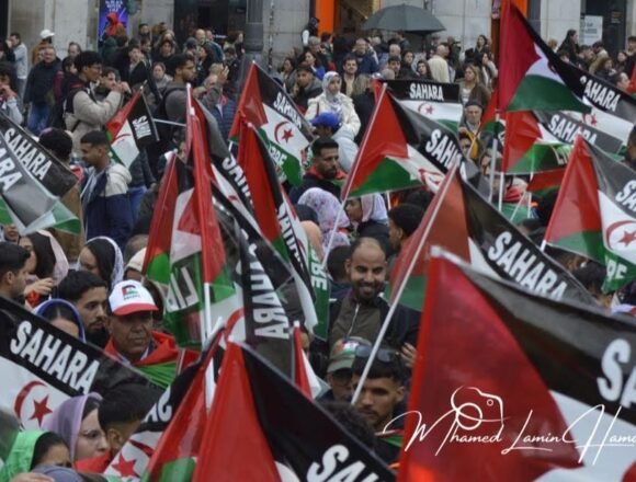 img_4963 FEDISSAH afirma que ninguna alianza anula el derecho del pueblo saharaui a la autodeterminación | Sahara Press Service (SPS)