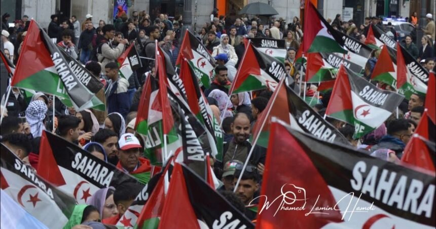 FEDISSAH afirma que ninguna alianza anula el derecho del pueblo saharaui a la autodeterminación | Sahara Press Service (SPS)