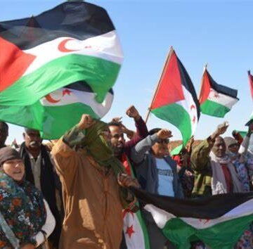 img_5512 La Federación Internacional de Derechos Humanos insta a la UE a respetar el derecho del pueblo saharaui a la autodeterminación | Sahara Press Service (SPS)