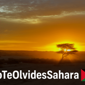 Invierno sin noticias: el Sáhara Occidental en el tiempo de silencio