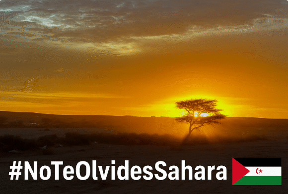 Invierno sin noticias: el Sáhara Occidental en el tiempo de silencio