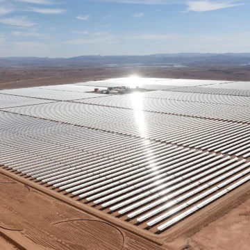 Energía “verde”, ocupación negra: cómo EE. UU. y Emiratos apuntalan la economía ilegal del Sáhara Occidental