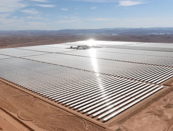 Energía “verde”, ocupación negra: cómo EE. UU. y Emiratos apuntalan la economía ilegal del Sáhara Occidental