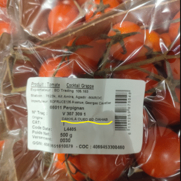 FEPEX pide al Parlamento Europeo que no ratifique el acuerdo que autoriza nuevas denominaciones para el tomate del Sahara Occidental comercializado como marroquí