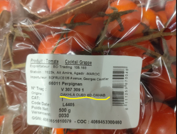 FEPEX pide al Parlamento Europeo que no ratifique el acuerdo que autoriza nuevas denominaciones para el tomate del Sahara Occidental comercializado como marroquí