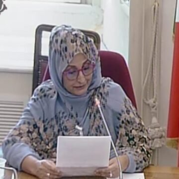 representante_italia Italia pide devolver a la agenda internacional la autodeterminación del pueblo saharaui | Sahara Press Service (SPS)