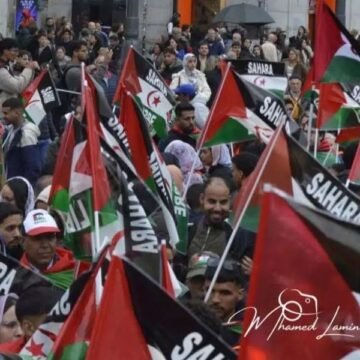 La comunidad saharaui en Europa convoca manifestación en Bruselas contra el nuevo acuerdo que afecta al Sáhara Occidental