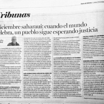 thumbnail_IMG_3112 Diciembre saharaui: cuando el mundo celebra, un pueblo sigue esperando justicia – Carlos Cristóbal en Noticias de Navarra
