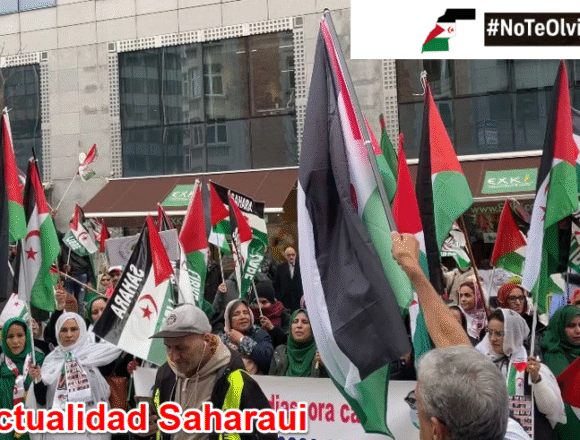 Noticias del SAHARA OCCIDENTAL – 11/12/2025 – Actualidad del Mundo Saharaui