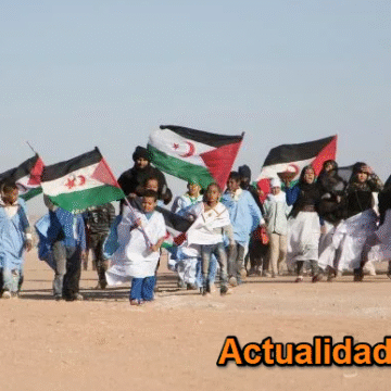 Noticias del SAHARA OCCIDENTAL – 13/12/2025 – La Actualidad Saharaui