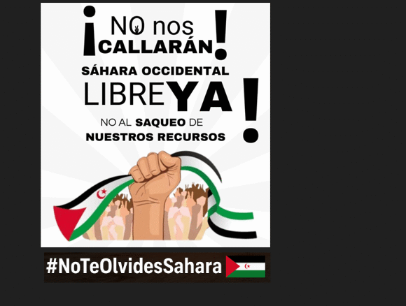 xdsrfgtrytryhjum Noticias del SAHARA OCCIDENTAL – 3/12/2025 – La Actualidad Saharaui