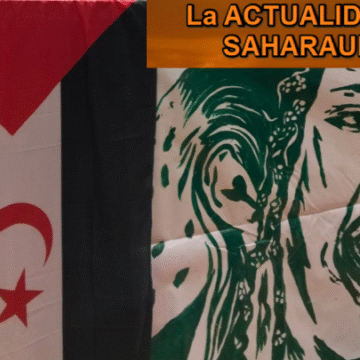 Noticias del SAHARA OCCIDENTAL – 1/12/2025 – La Actualidad Saharaui