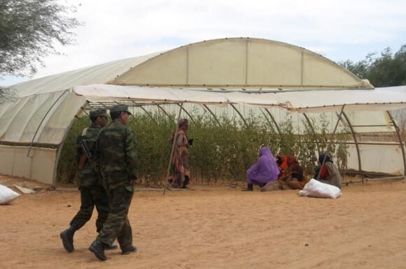 Marruecos intensifica su actividad contra el Polisario, y aumenta las amenazas en los campamentos de refugiados saharauis – ECSAHARAUI