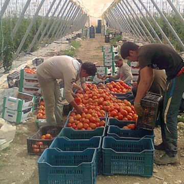 La UE modifica las reglas de origen para incluir productos del Sáhara Occidental en el acuerdo con Marruecos