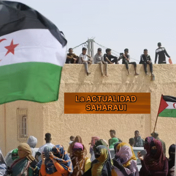 Noticias del SAHARA OCCIDENTAL –21/1/2026– La Actualidad Saharaui