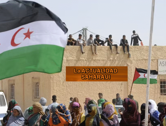Noticias del SAHARA OCCIDENTAL –21/1/2026– La Actualidad Saharaui