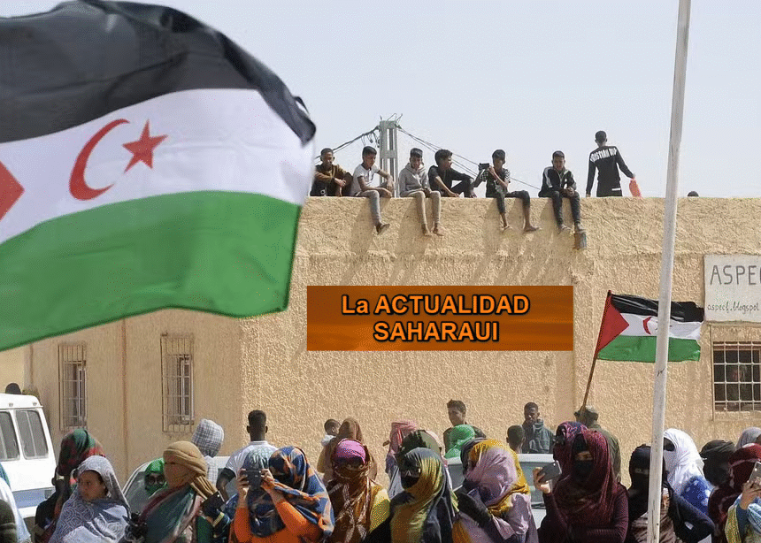 Noticias del SAHARA OCCIDENTAL –21/1/2026– La Actualidad Saharaui
