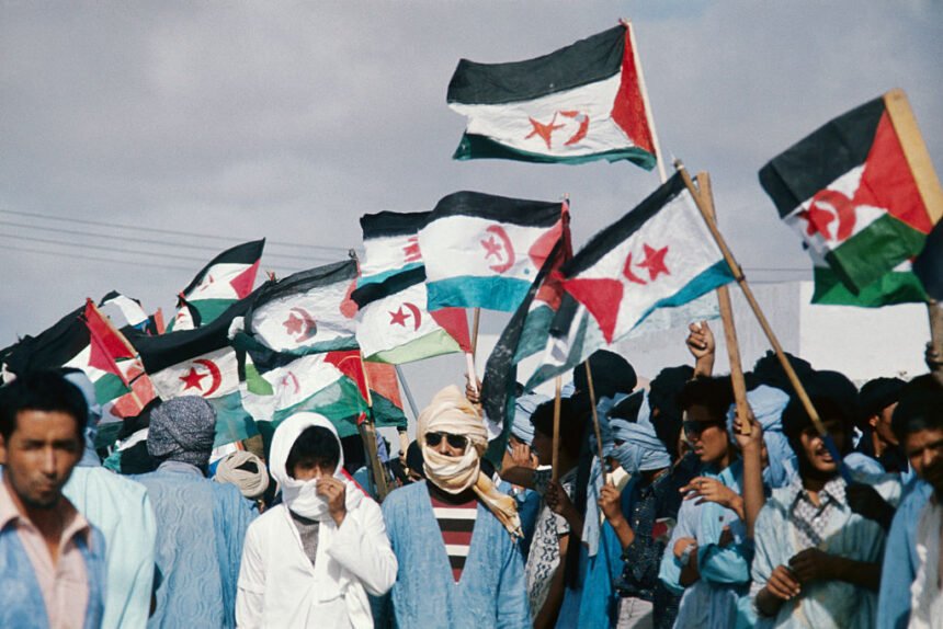 El dilema de Pedro Sánchez y el Sáhara Occidental: cuando el derecho internacional se aplica a conveniencia | Euractiv 