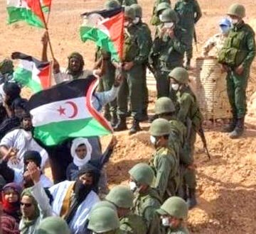 SAHARA OCCIDENTAL : La politique de la terre brûlée se poursuit   | lecourrier-dalgerie