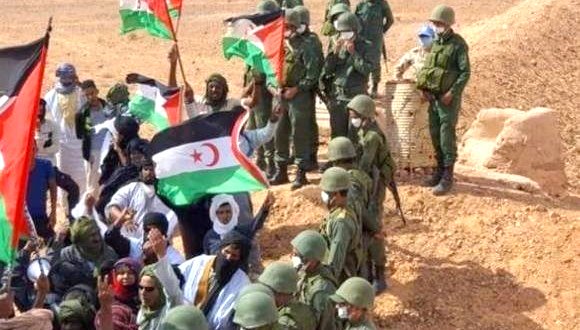 RASD SAHARA OCCIDENTAL : La politique de la terre brûlée se poursuit | lecourrier-dalgerie