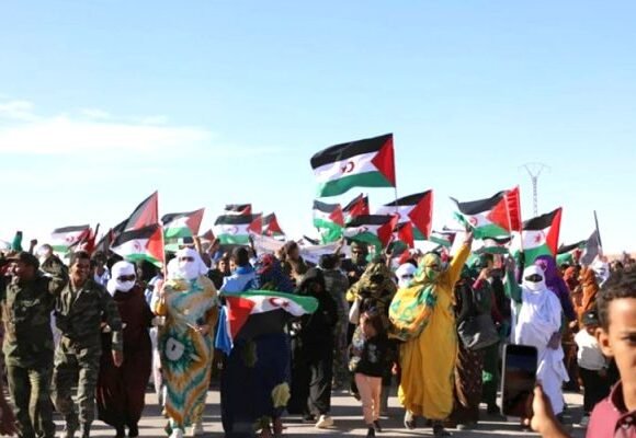 « Le Sahara occidental demeure une question de décolonisation » : VICTORIA G. CORERA | lecourrier-dalgerie.com