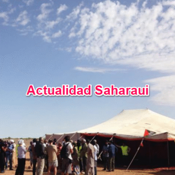 Noticias del SAHARA OCCIDENTAL – 31/1/2026– La Actualidad Saharaui