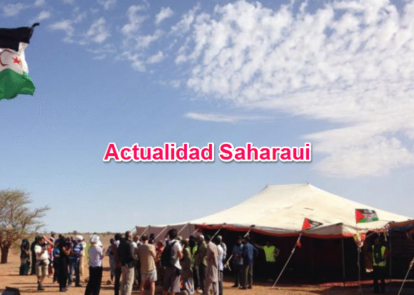 Noticias del SAHARA OCCIDENTAL – 31/1/2026– La Actualidad Saharaui