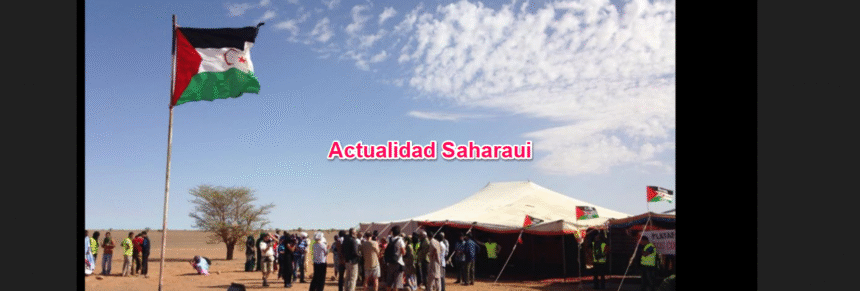 Noticias del SAHARA OCCIDENTAL – 31/1/2026– La Actualidad Saharaui