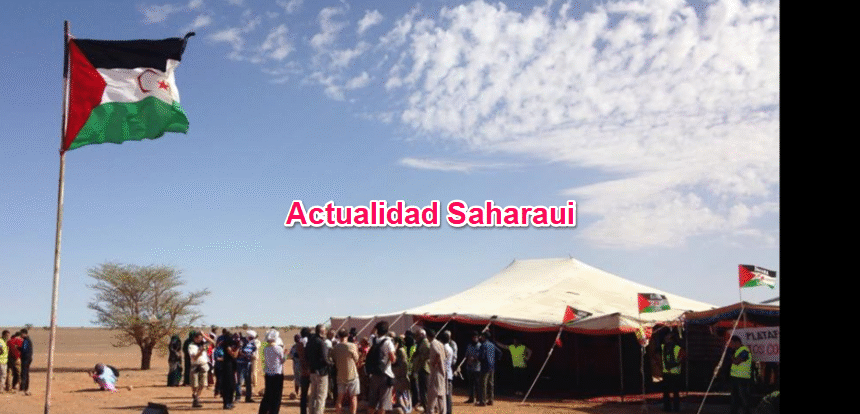 Noticias del SAHARA OCCIDENTAL – 31/1/2026– La Actualidad Saharaui
