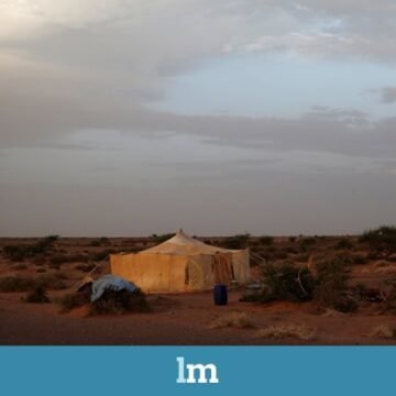 bskycard-SAHARA-cultura La cultura, otro campo de batalla en la ocupación del Sáhara | Laura Casielles en lamarea