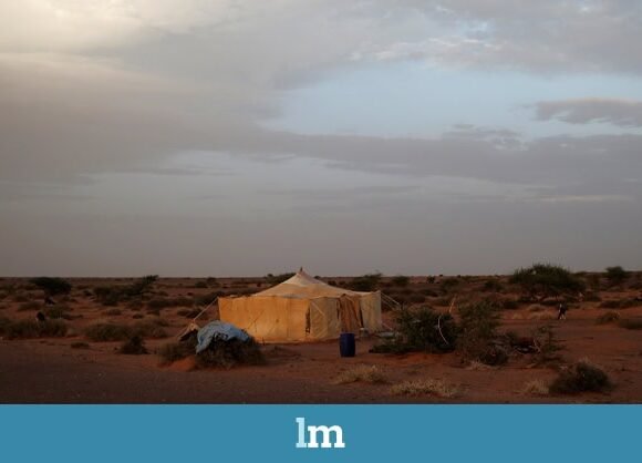 La cultura, otro campo de batalla en la ocupación del Sáhara | Laura Casielles en lamarea