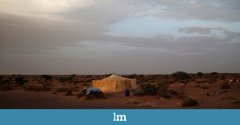 bskycard-SAHARA-cultura La cultura, otro campo de batalla en la ocupación del Sáhara | Laura Casielles en lamarea