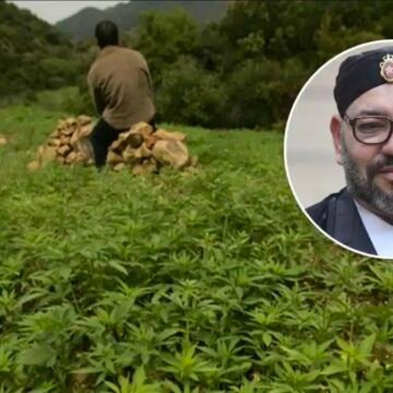 ca87f0dd4877a403f6c6ab7140e186bb234d8989 Narcotráfico, Sáhara Occidental y poder: la dimensión estratégica de una economía paralela marroquí