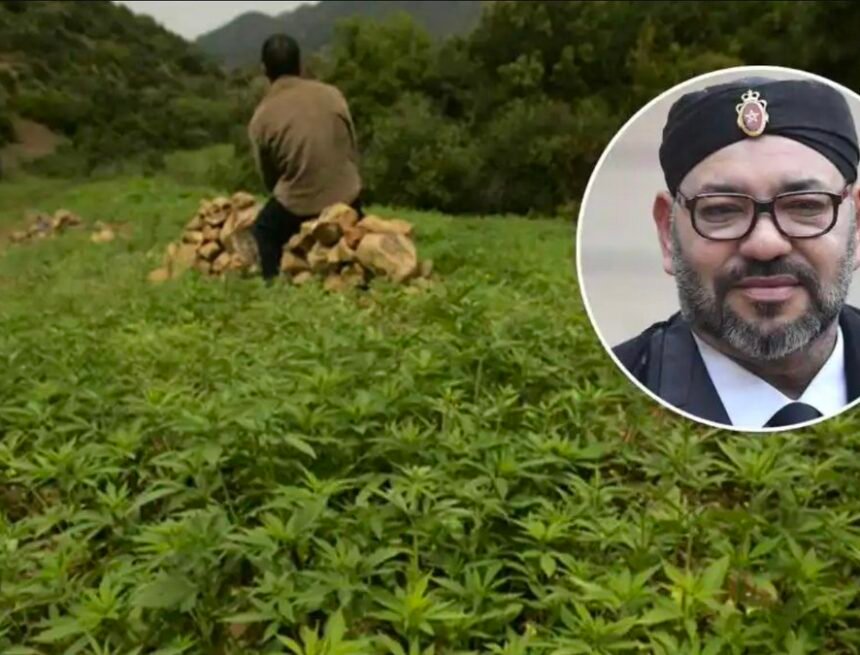 Narcotráfico, Sáhara Occidental y poder: la dimensión estratégica de una economía paralela marroquí