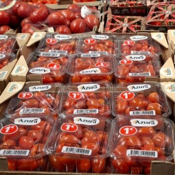 El Frente POLISARIO recurre el reciente Acuerdo Comercial UE-Marruecos – Contramutis