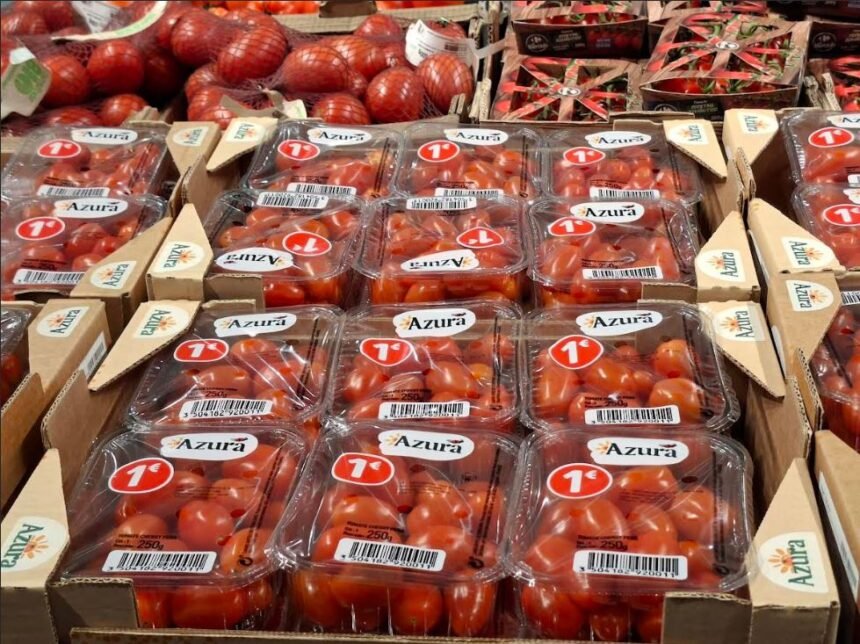 El Frente POLISARIO recurre el reciente Acuerdo Comercial UE-Marruecos – Contramutis