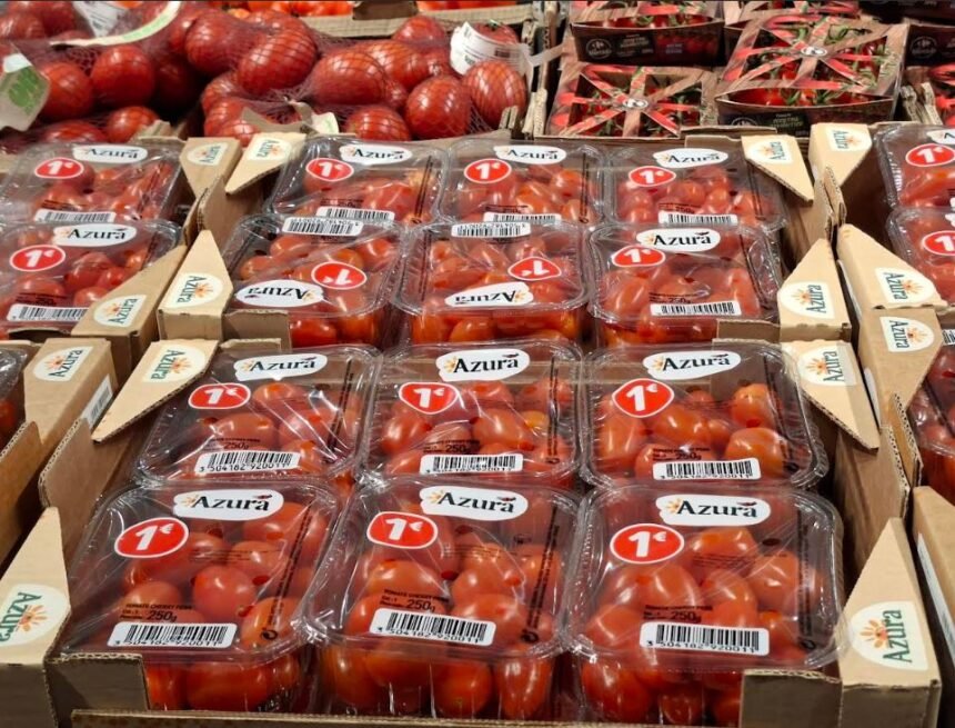 El Frente POLISARIO recurre el reciente Acuerdo Comercial UE-Marruecos – Contramutis