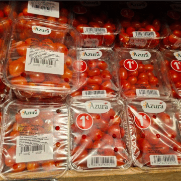 cherry Agricultores españoles denuncian que la UE “camufla” los productos del Sáhara Occidental como marroquís