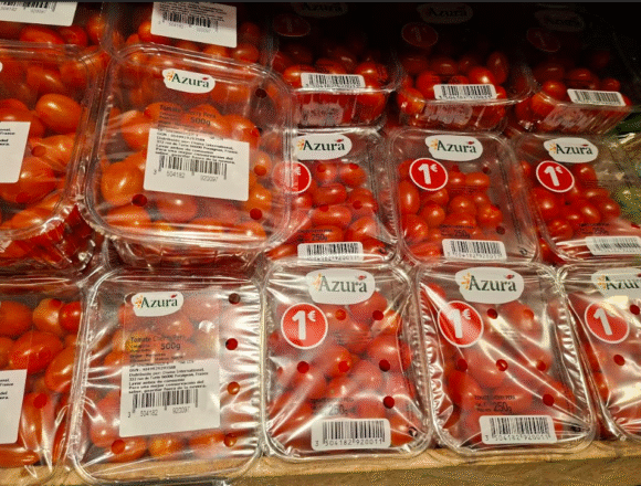 Agricultores españoles denuncian que la UE “camufla” los productos del Sáhara Occidental como marroquís