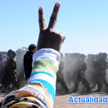 dfcv gh Lo más destacado de la semana 2-2026 en «NO TE OLVIDES DEL SÁHARA OCCIDENTAL»