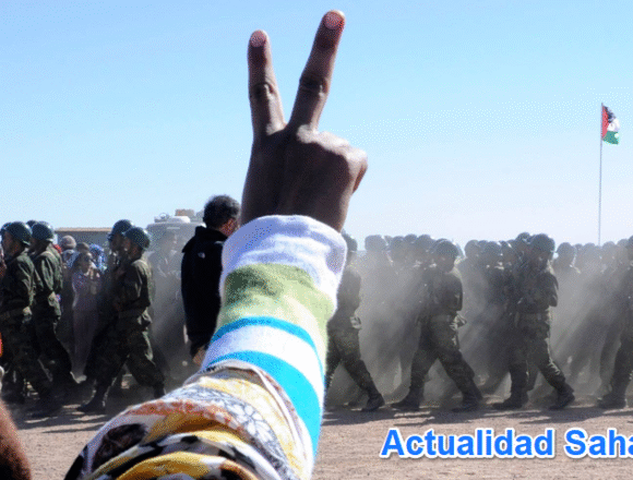 Lo más destacado de la semana 2-2026 en «NO TE OLVIDES DEL SÁHARA OCCIDENTAL»
