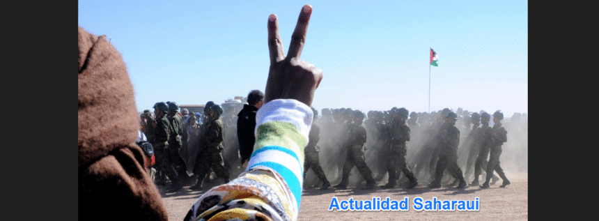 Lo más destacado de la semana 2-2026 en «NO TE OLVIDES DEL SÁHARA OCCIDENTAL»