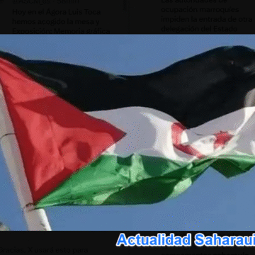 Noticias del SAHARA OCCIDENTAL – 15/1/2026– La Actualidad Saharaui