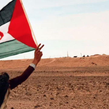 El nuevo contexto desde el que Estados Unidos mira al Sáhara Occidental: geopolítica de los minerales y un derecho que no se puede sortear