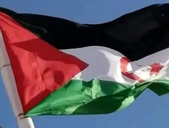 Des experts de l’ONU interpellent le Maroc sur les conditions de détention d’un défenseur sahraoui des droits humains – APS