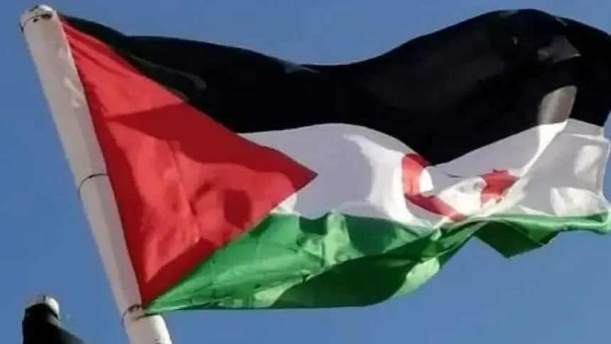 Des experts de l’ONU interpellent le Maroc sur les conditions de détention d’un défenseur sahraoui des droits humains – APS