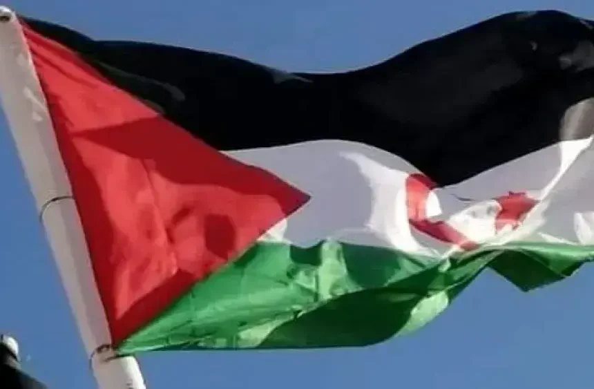 Des experts de l’ONU interpellent le Maroc sur les conditions de détention d’un défenseur sahraoui des droits humains – APS