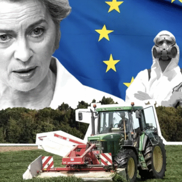 L’UE entérine l’étiquetage trompeur des produits du Sahara occidental : une occupation normalisée par le commerce – Victoria G. Corera