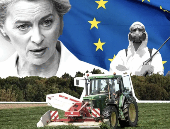 L’UE entérine l’étiquetage trompeur des produits du Sahara occidental : une occupation normalisée par le commerce – Victoria G. Corera