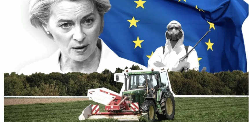 L’UE entérine l’étiquetage trompeur des produits du Sahara occidental : une occupation normalisée par le commerce – Victoria G. Corera